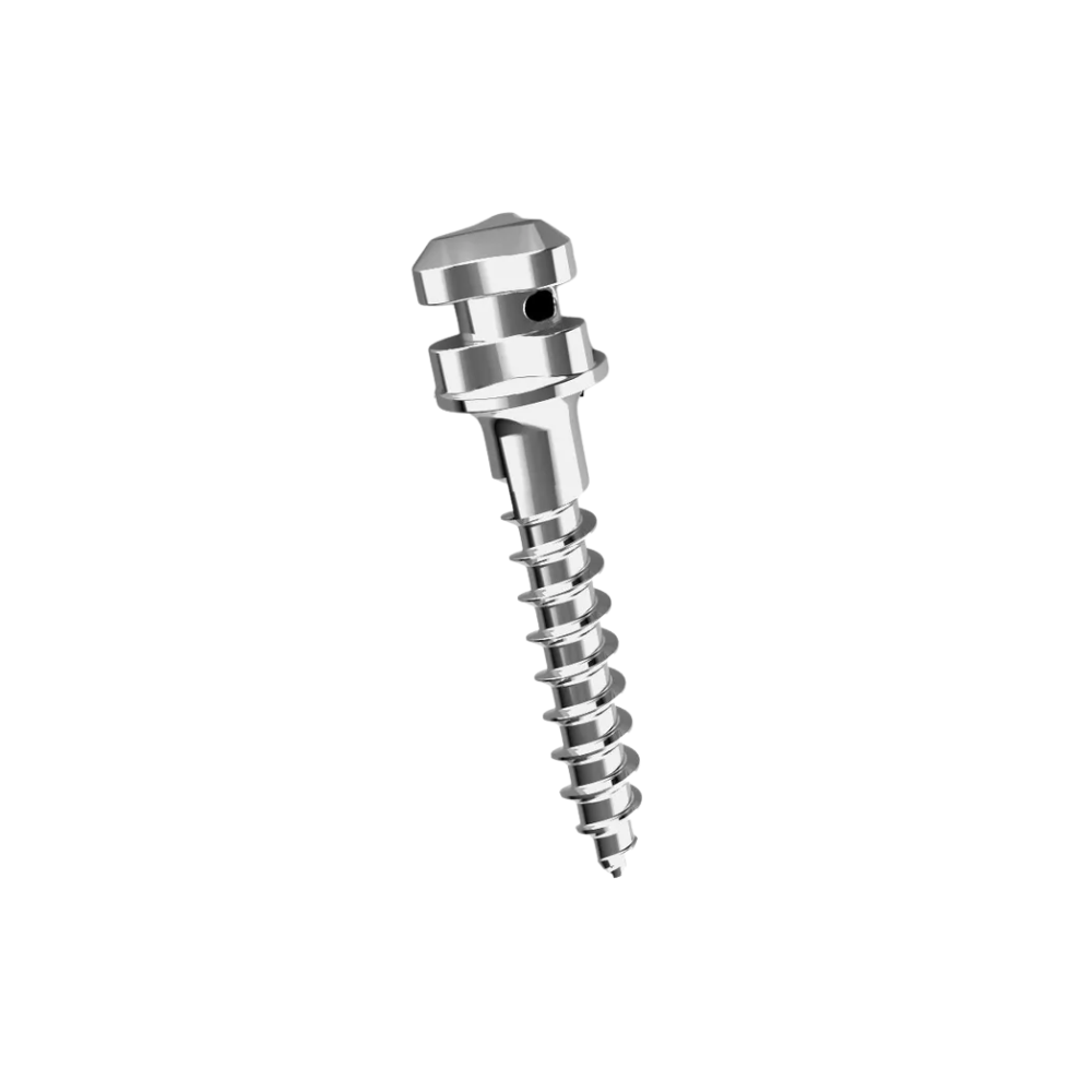Hexagon mini screw diameter 1.8L 10